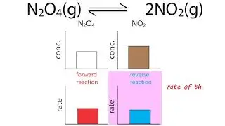 reversible reactions