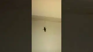 чё развалилась #прикол