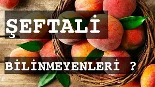 ŞEFTALİ / BİLİNMEYENLERİN           #şeftali #şeftalifaydaları #şeftalibilinmeyenleri #bilinmeyenler