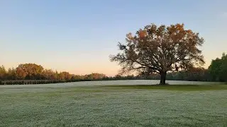 The Kelleys Q&A Livestream! 4/23/2023