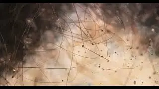 Flash bulbs in Super Slow Mo Part 2