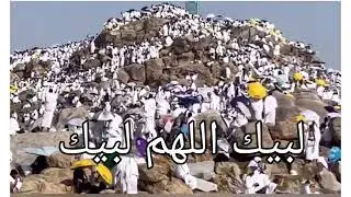 hajj 2023 video|| Hajj 2023 viral video|| hajj 2023 live|| Hajj live 2023