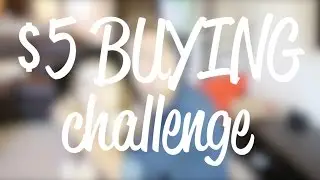 $5 buying challenge pt two (w alex reininga)