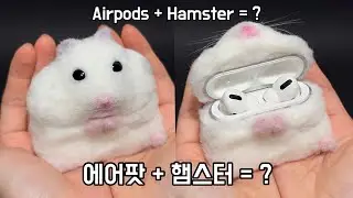 How to make Hamspods Case