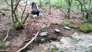 White Rock Fall May 20, 2017
