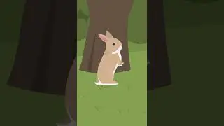 English Short Story Rabbit and Tortoise #shorts #learnenglish @ccubeacademy-english5156