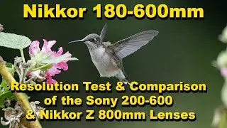 Nikkor Z 180-600 Resolution Test & Comparison of the Sony 200-600 & Nikon Z 800mm lenses