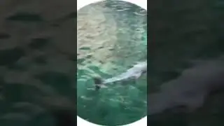 это не я а мой друг дяди