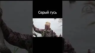 Охота на серого гуся. Звёздный час #shorts
