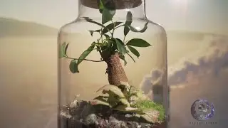 Destination STEM: Understanding the Nature of Nature by Omer Motiwala, Reboot Earth