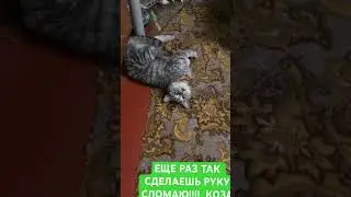 ЕЩЕ РАЗ ТАК СДЕЛАЕШЬ Я ТЕБЕ РУКУ СЛОМАЮ!!!  КОЗА