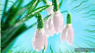 С первым днём весны! 1 марта! Счастья и тепла вам) Красивая музыкальная открытка🌷