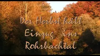 Der Herbst hält Einzug ins Rohrbachtal