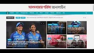 News Portal Website Design using WordPress 