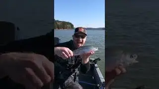 Trolling for TROUT with CORN is FIRE!!!! 