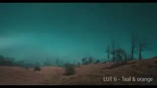 LUT'S FOR EDIUS-PREMIERE-FCPX