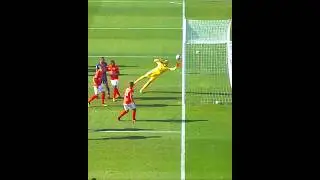 Corner Kick Goals