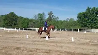 Ima Iny Too BN Dressage 4/21/18