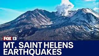 Mount Saint Helens hit with hundreds of mini earthquakes | FOX 13 Seattle