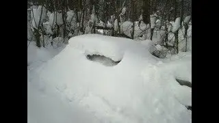 Зимовка пчел 2018 Опыты с водой и магнитным полем