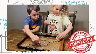 DIY Fossils | Viewer Challenge
