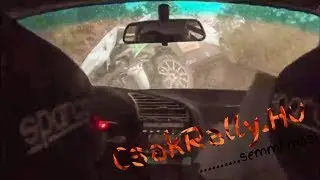 Best of Hungarian Onboard Rally 2019 (crashes & mistakes)