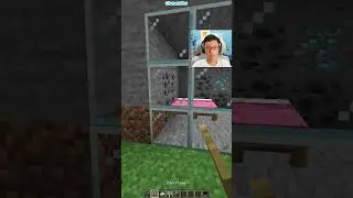 Minecraft Fake Wall (Sigma Boy)