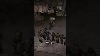 Тараканы в Сталкере!)) 