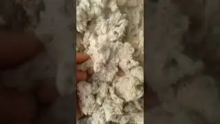 Линт хлопковый Джизак