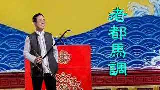 孫文軒二胡｜老都馬調 (歌仔戲曲調)｜Sun Wen-Xuan Erhu