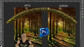 COMO CREAR RAYOS DE SOL PARA NUESTRAS FOTOS DE BOSQUES