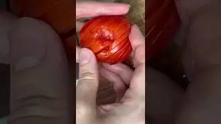 Как нарезать овощи, фрукты и яйца идеальные слайсы #shorts #находкисвб