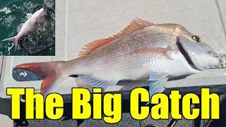Snapper Fishing Mayhem, Bust-Offs & a Great Catch at Harry Atkinson Reef