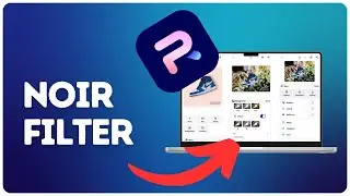 How to add noir filter on Photoroom?