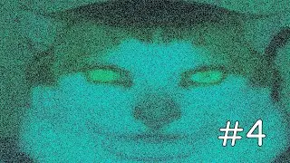 Funny videos I found on the internet #4 | Monday special
