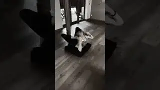 Splits and Backflexibility