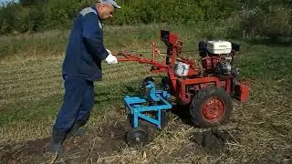 Копаю картофан самодельной виброкопалкой