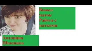 Пчеловодство.Антонина Шакшина Омск 2018 &