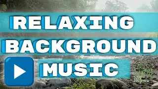 Relaxing Meditation Study Music: Friends Of Solitude