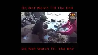 My Video39
