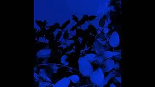 Distant Stares - Augoeides