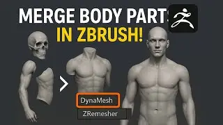 How to Merge Body Parts in ZBrush – Easy & Clean Workflow