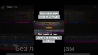 19 августа 2024 г.