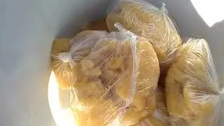 Медовая подкормка пчел