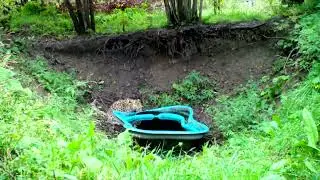 Котенок дальневосточного леопарда в вольере
