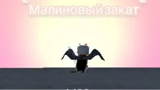 🍒Клип ~Малиновый закат~[Снимался Славик мой брат] 🌟