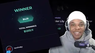 max wins (skin.club)
