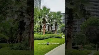 Landscaping ideas, gardens, backyard landscaping ideas, ideas for garden design
