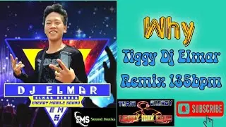 Why Tiggy ( Dj Elmar Remix 2024 ) 135Bpm