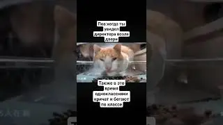 Жиза
